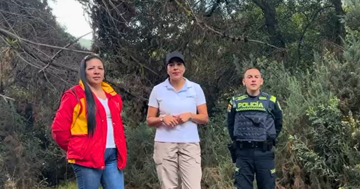 “Combatiendo a los intrusos”: Descubre cómo operan los frentes de seguridad en Bogotá